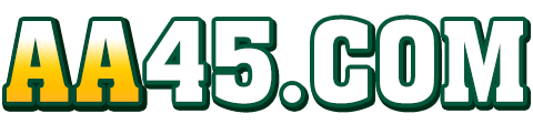 aa45.COM